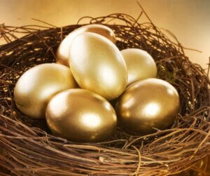 birds nest with golden eggs