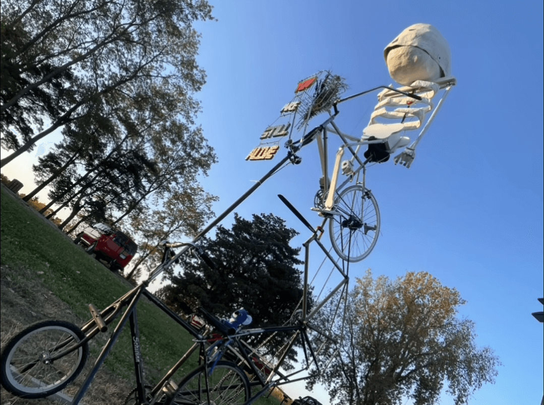 art in the wild display