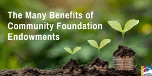 Endowment-Funds-for-newsletter-graphic