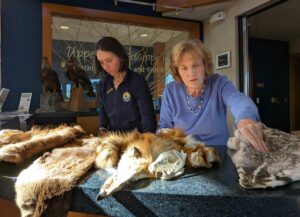 Karrie-Jackelen-left-and-Kathryn-Lammers-right-organize-furs-and-skulls-of-animals-that-can-be-found-in-the-Upper-Mississippi-River-National-Wildlife-and-Fish-Refuge-establis