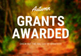 Copy-of-Copy-of-Copy-of-grants-awarded