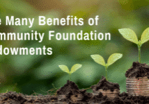 Endowment-Funds-for-newsletter-graphic