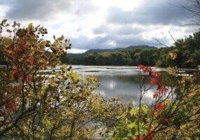 la-crosse-in-fall