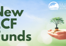new-funds-graphic-blog