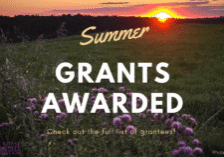 q3-grants-fb-ad
